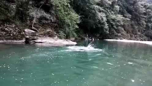 虫虫助手下载